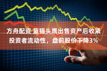 方舟配资 蓝猫头鹰出售资产后收紧投资者流动性，盘前股价下降3%