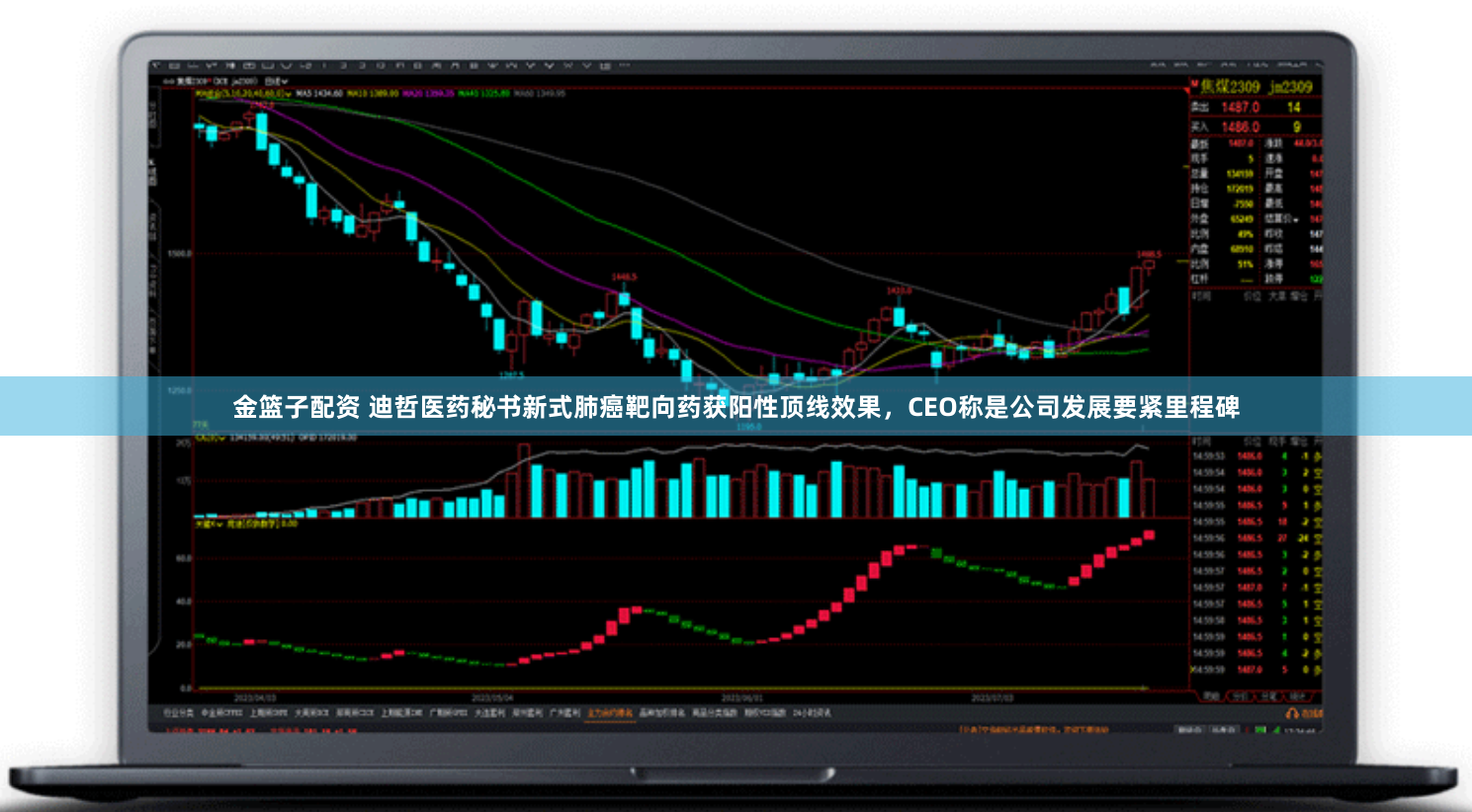 金篮子配资 迪哲医药秘书新式肺癌靶向药获阳性顶线效果，CEO称是公司发展要紧里程碑