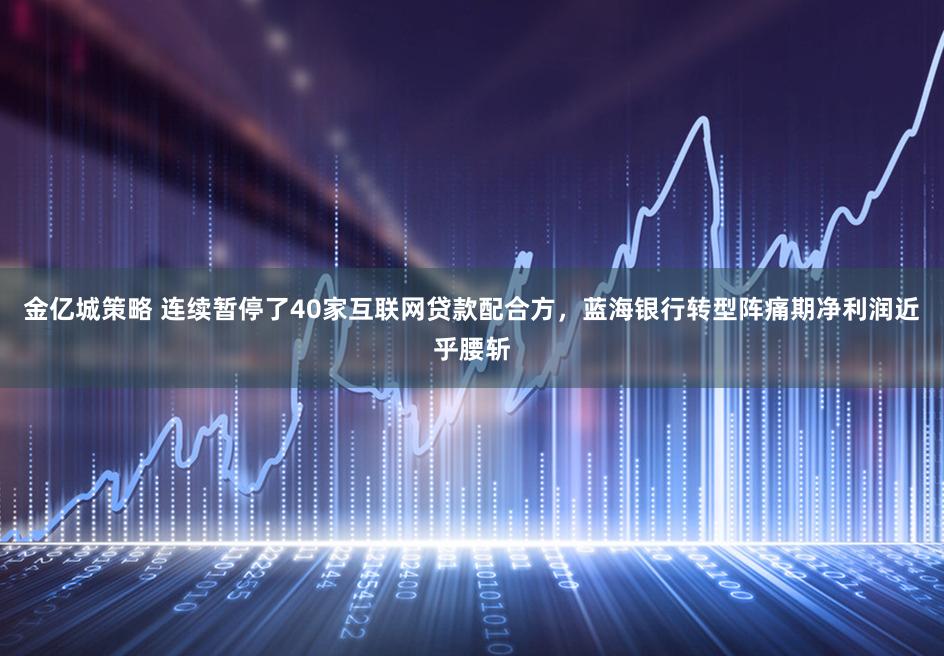 金亿城策略 连续暂停了40家互联网贷款配合方，蓝海银行转型阵痛期净利润近乎腰斩