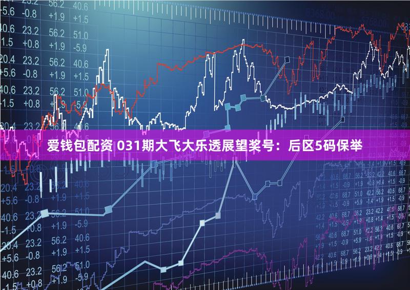 爱钱包配资 031期大飞大乐透展望奖号：后区5码保举