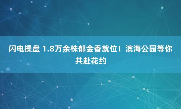 闪电操盘 1.8万余株郁金香就位!滨海公园等你共赴花约