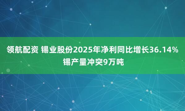 领航配资 锡业股份2025年净利同比增长36.14% 锡产量冲突9万吨