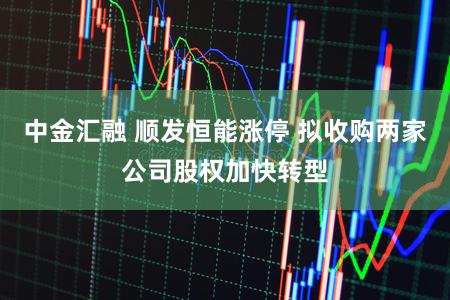 中金汇融 顺发恒能涨停 拟收购两家公司股权加快转型