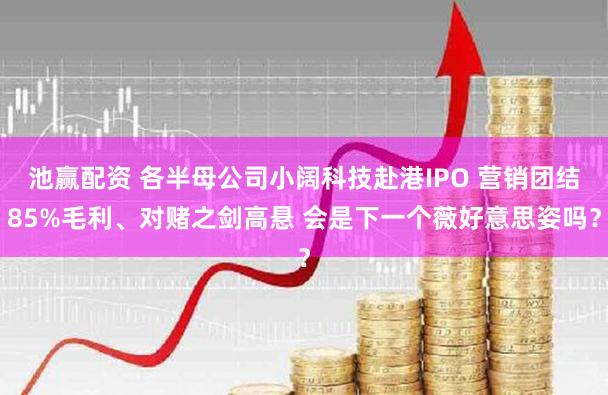 池赢配资 各半母公司小阔科技赴港IPO 营销团结85%毛利、对赌之剑高悬 会是下一个薇好意思姿吗?