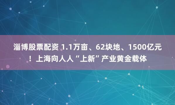 淄博股票配资 1.1万亩、62块地、1500亿元!上海向人人“上新”产业黄金载体